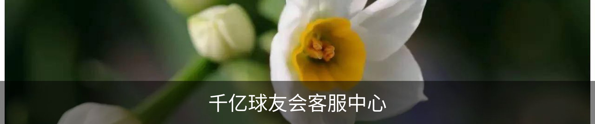 千亿球友会客服中心